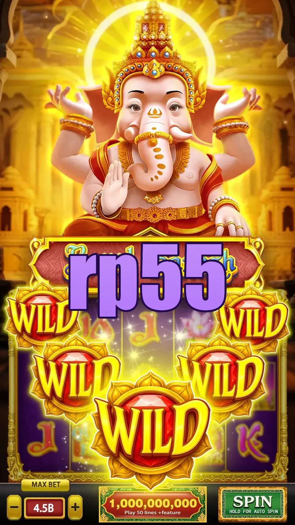 rp55 APK